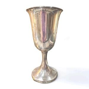 Web Sterling Silver 925 Goblet Classic American Chalice 4.6 oz
